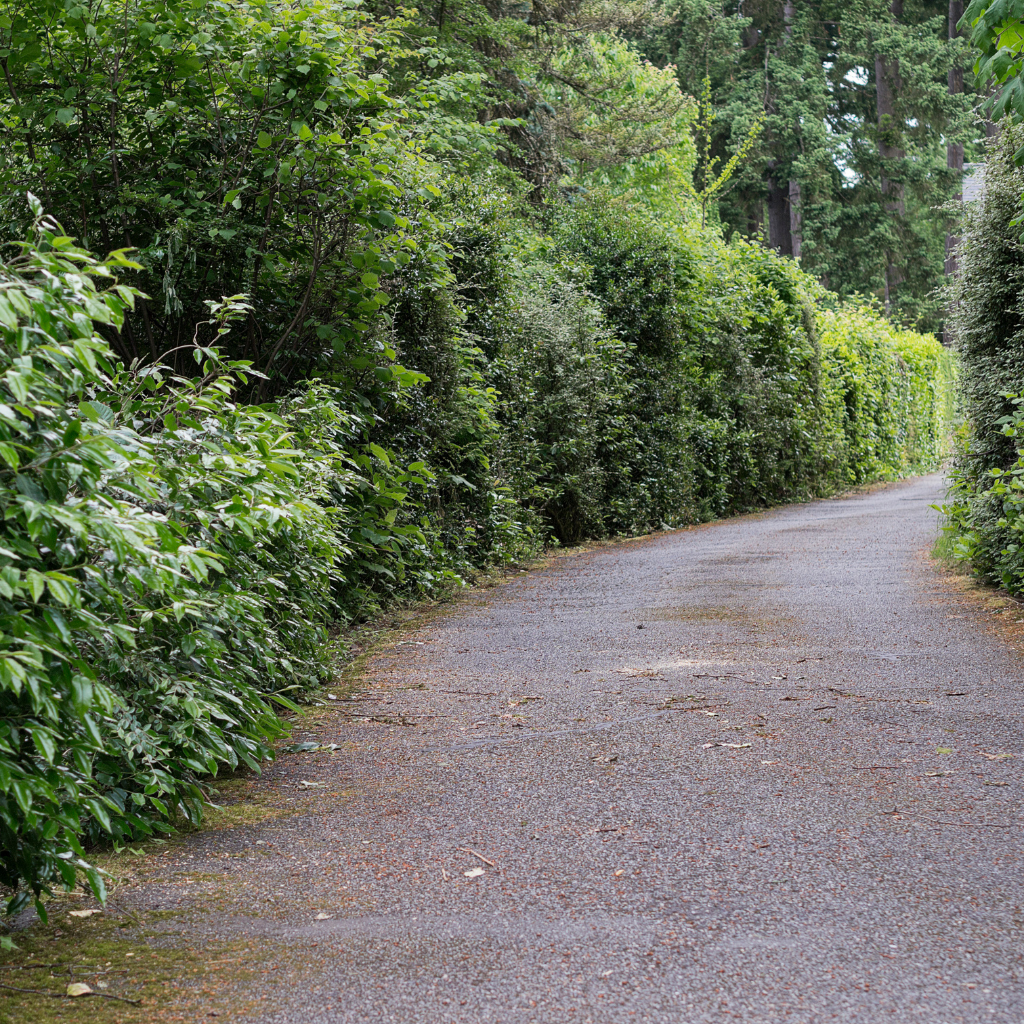 Quality Tarmaced Driveway by WCD in Bromborough